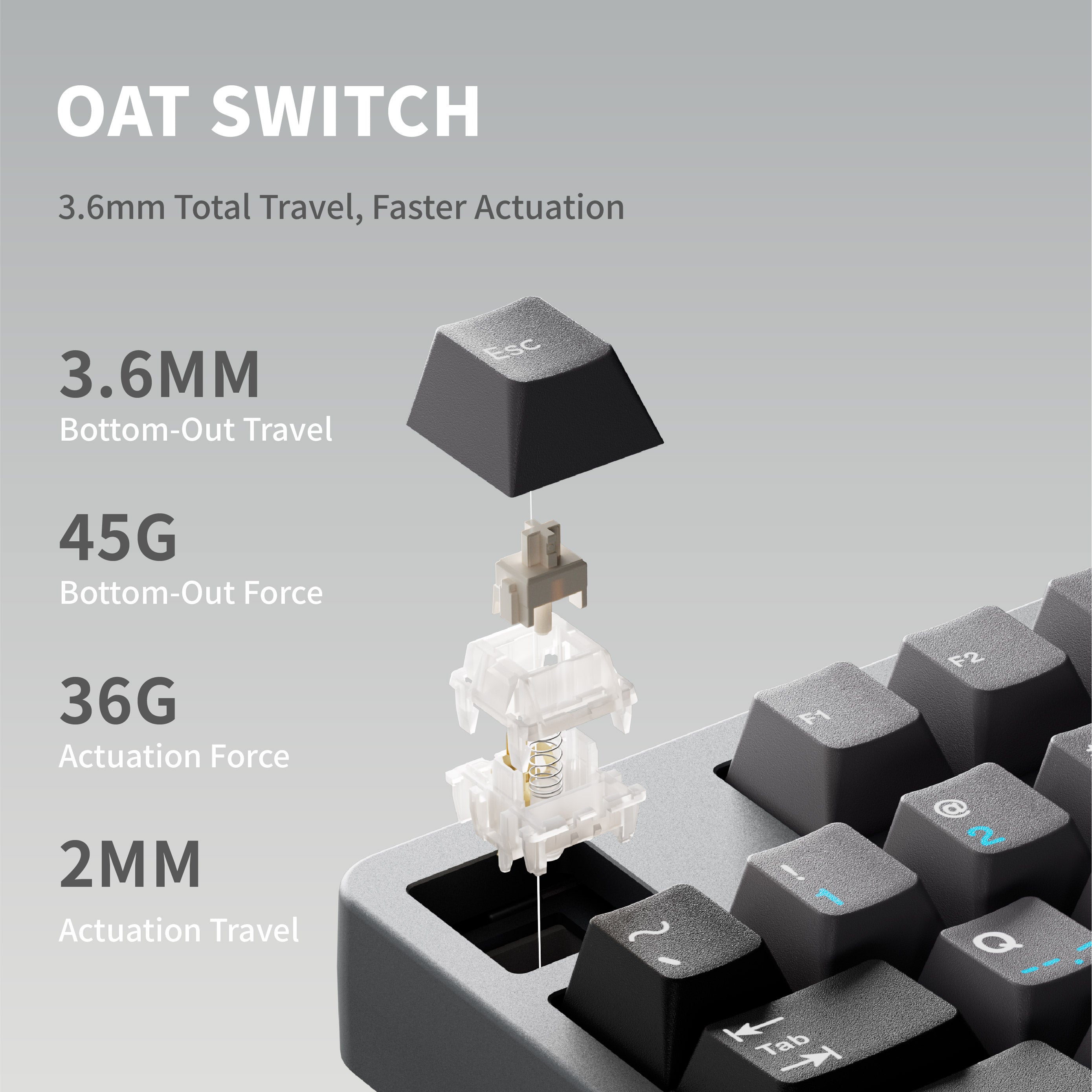 QK80 Mk2 하단 뷰, 배터리·PCB·폼 구성