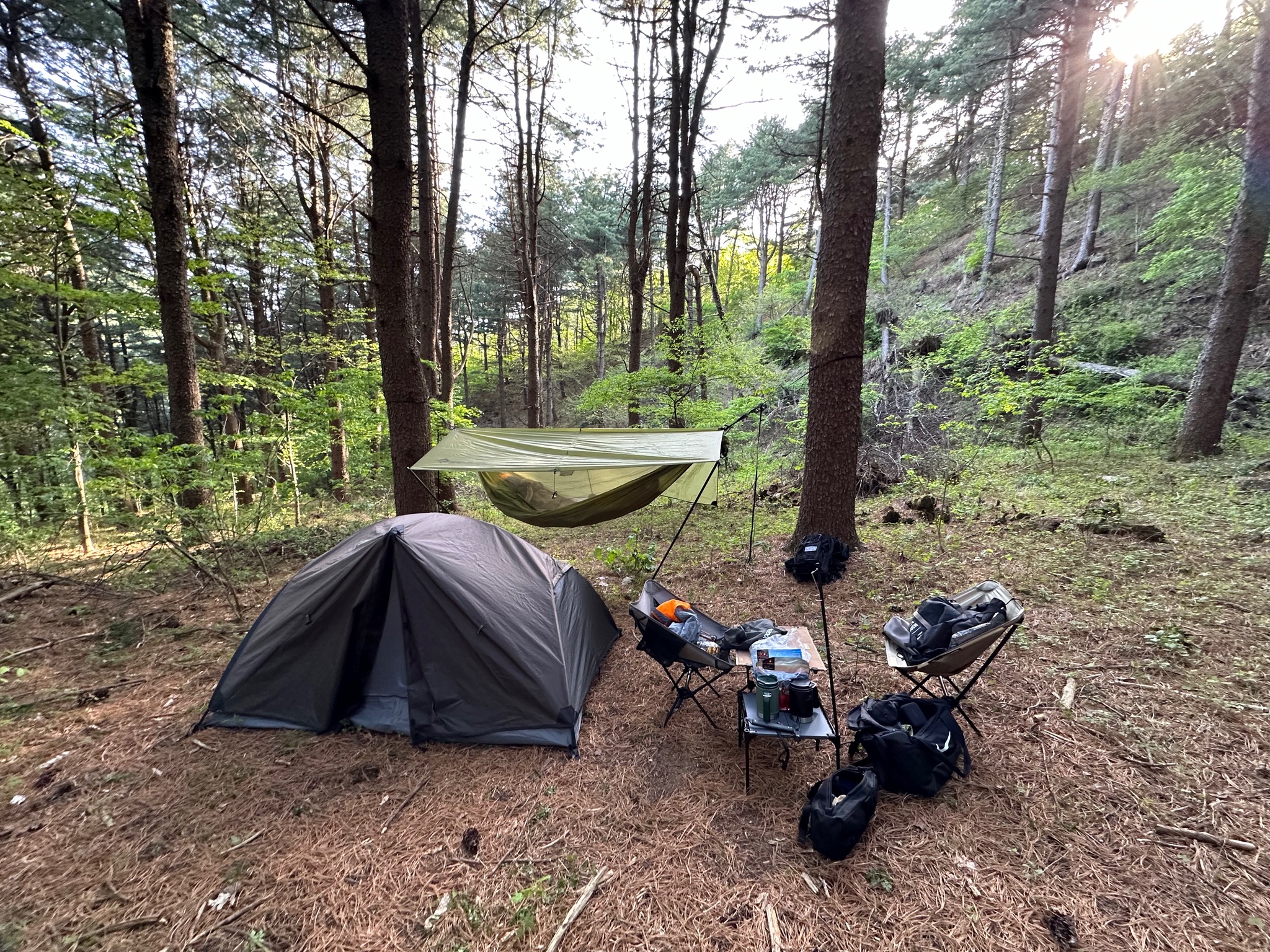 씨투써밋 정글 해먹과 함께한 백패킹 추억 사진